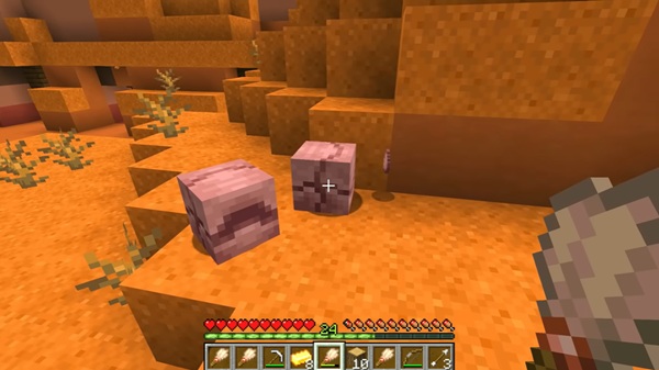 Minecraft